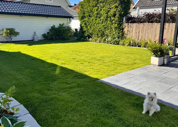 Leilighet I Bakklandet Med Parkering Og Hage