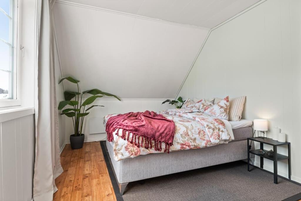 I Bakklandet Med Parkering Og Hage