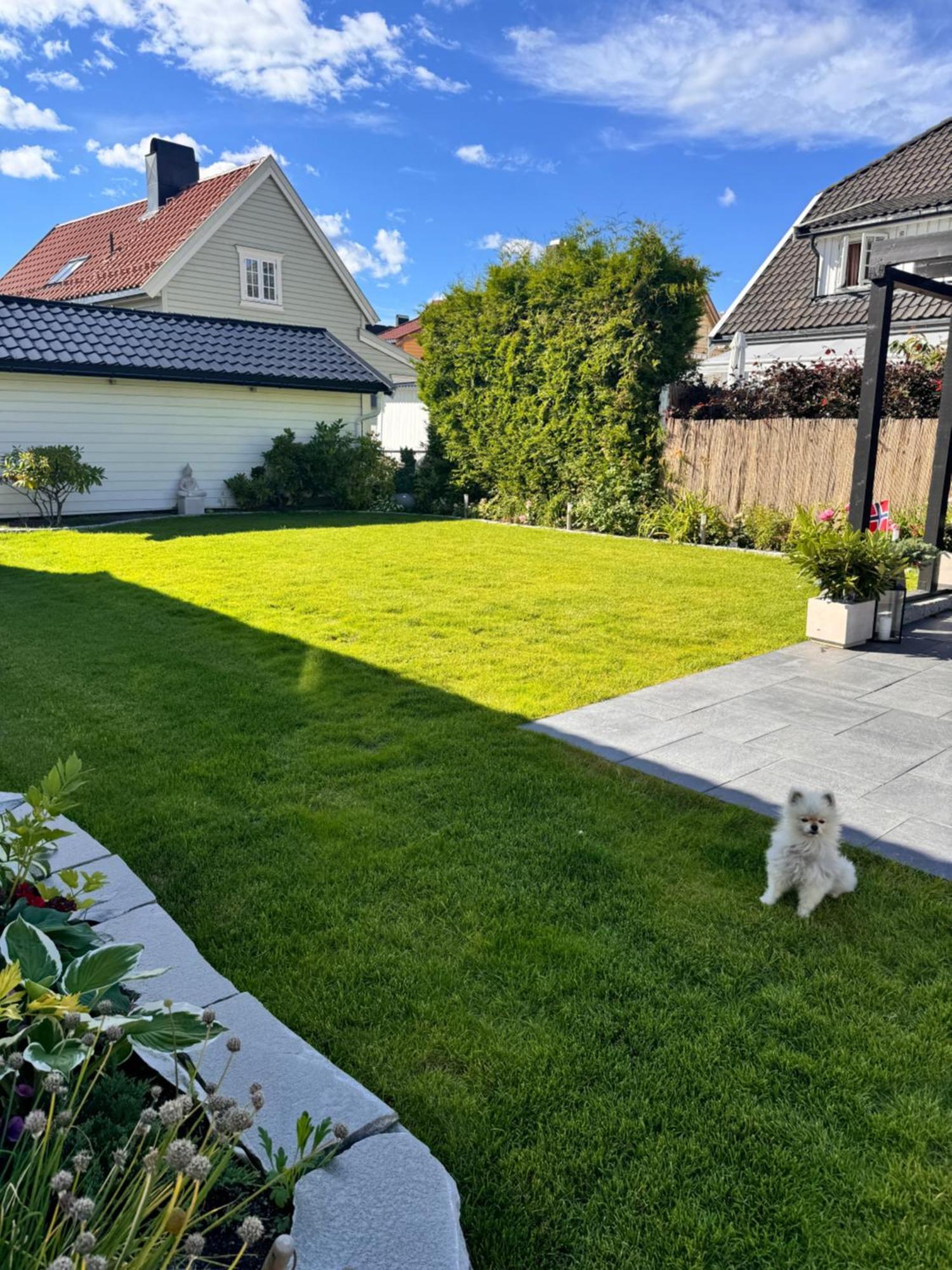 Apartment I Bakklandet Med Parkering Og Hage *
